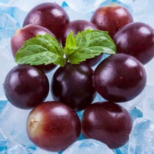 Grape Menthol Flavour E Liquid Concentrate