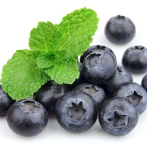 Blueberry Menthol Flavour E Liquid Concentrate