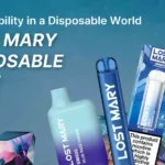 Lost Mary Disposable Vape: Sustainability In A Disposable World