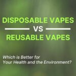 Disposable Vapes vs. Reusable Vapes Which is Better?